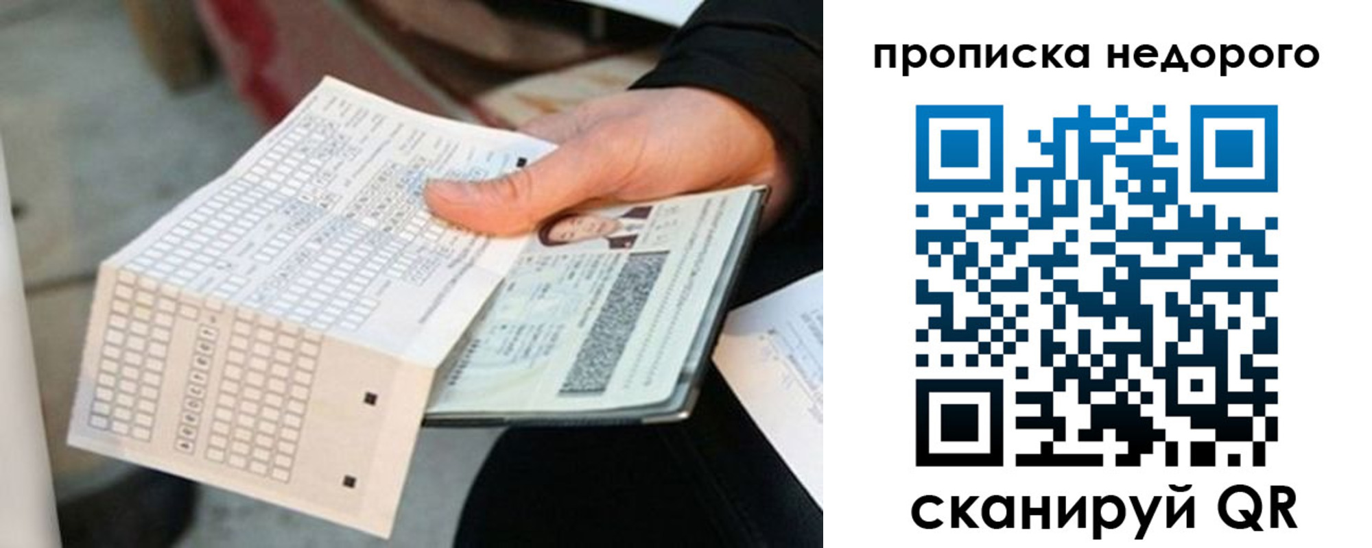 купить прописку в Курской области